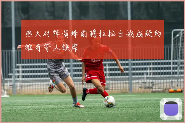 热火对阵黄蜂前瞻拉松出战成疑约维奇等人缺席